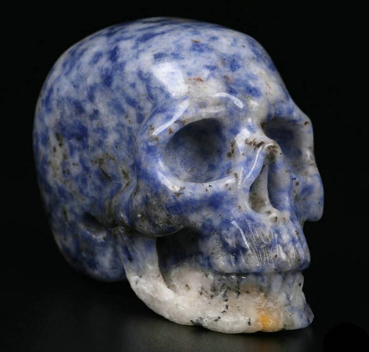 2" Speckled Sodalite - Crystal Skulls