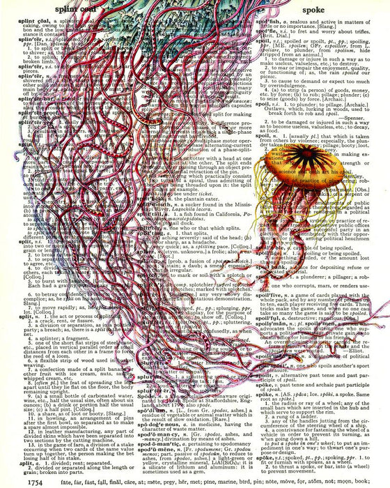 Jellyfish Triptych 02 - Dictionary Art Print